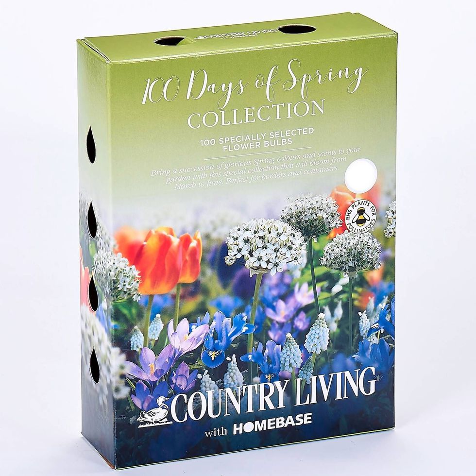Country Living 100 Days of Spring Flower bulbs Collection