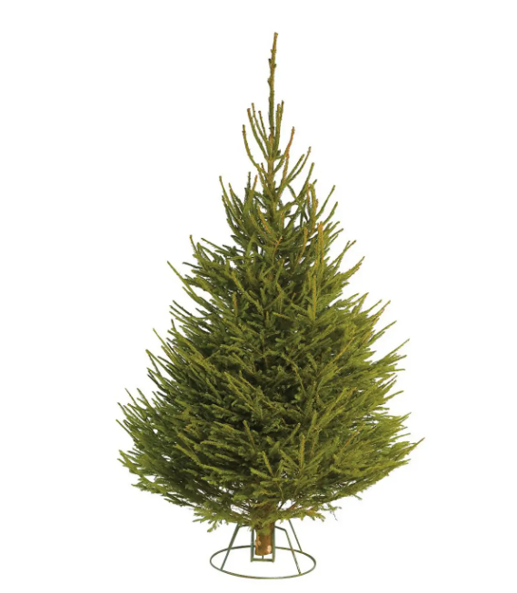 Homebase xmas trees hotsell