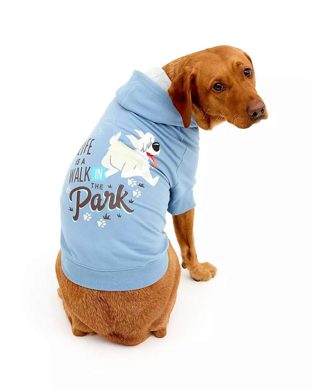 10 conjuntos de ropa para perros para vestirle en tendencia