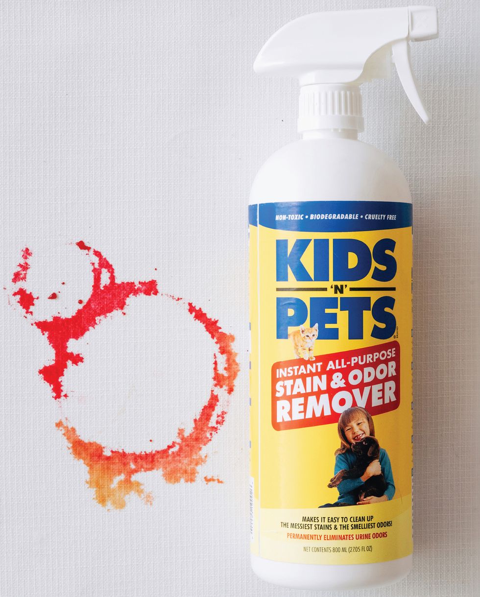 Kids 'N' Pets Instant All-Purpose Stain and Odor Remover