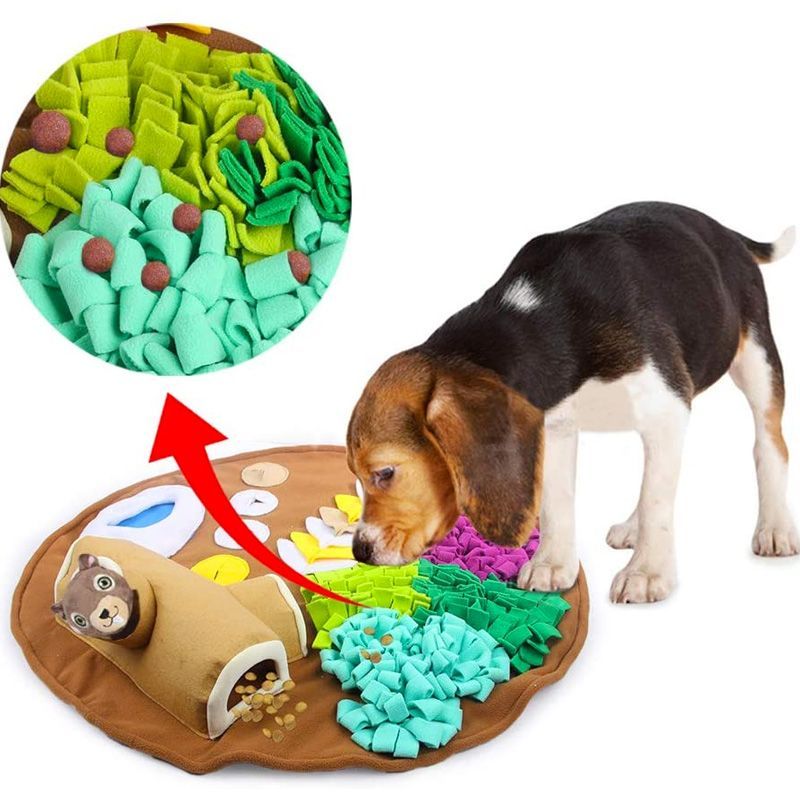 Ethical Pet Spot Sensory Ball 2.5 inch Colorful Rubber Squeaker Toy for Dogs