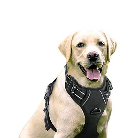 No-Pull Pet Harness with 2 Leash Clips