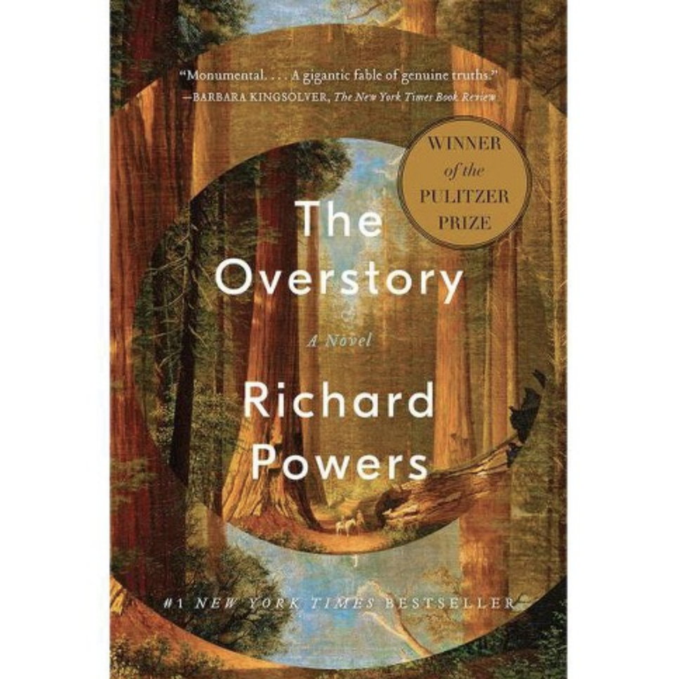 The Overstory: A Novel (Paperback)