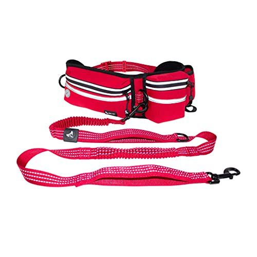 Most comfortable 2024 dog leash