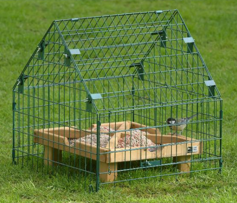 15 Squirrel Proof Bird Feeders For 2022 - 5 Best Feeder Tips