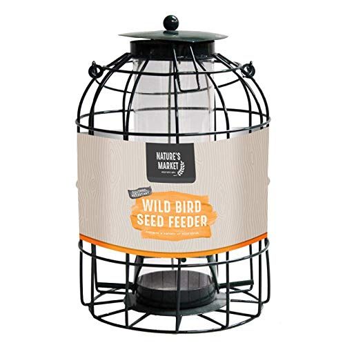 Natures Market BF008S Seed Feeder with Squirrel Guard