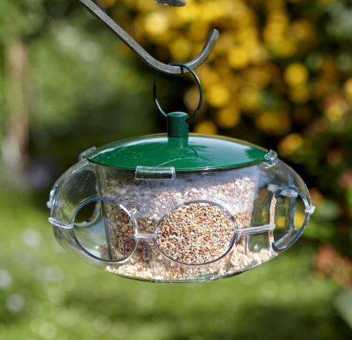 the range bird seed feeders