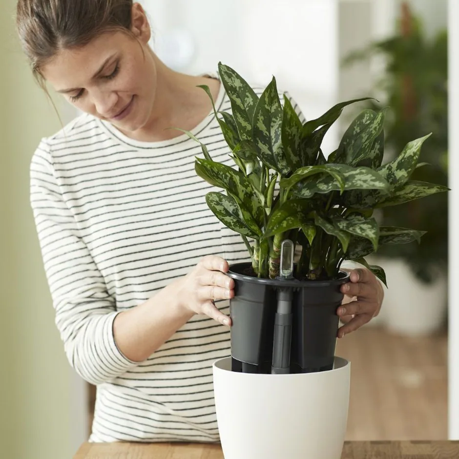 20 Self Watering Planters For 20