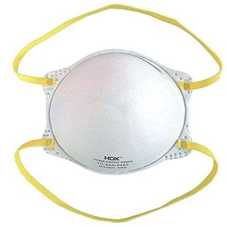 N95 Particulate Respirator (30 Pack)