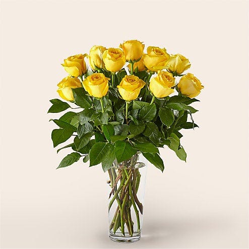Long Stem Yellow Rose Bouquet