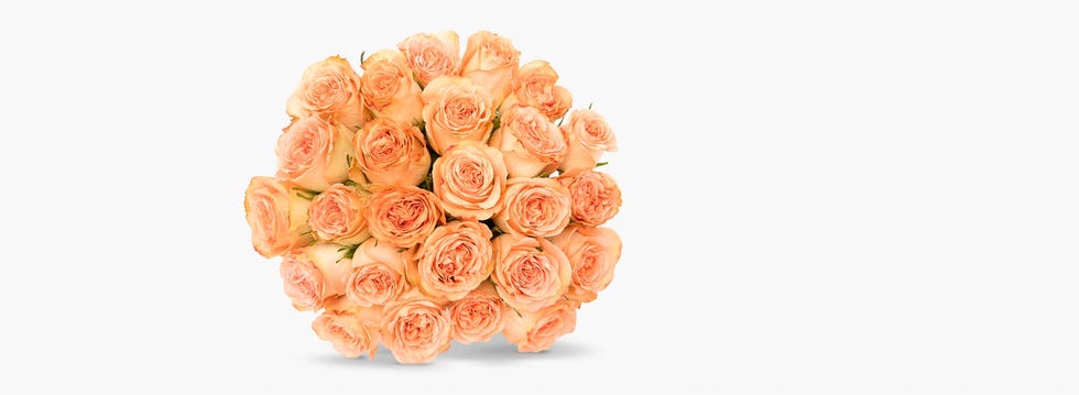 Country Home Rose