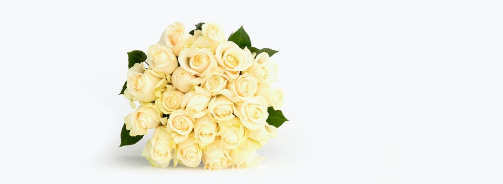 Snowy White Rose