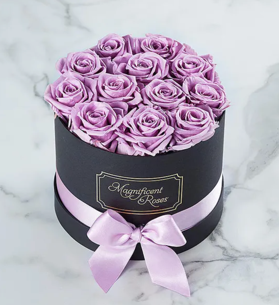 Magnificent Roses Preserved Lavender Roses