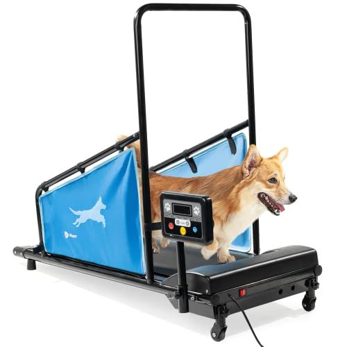 Dog Treadmill for Small Dogs 