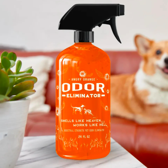 15 Best Pet Stain Removers 2022 — Best Carpet Cleaner For Pet Stains