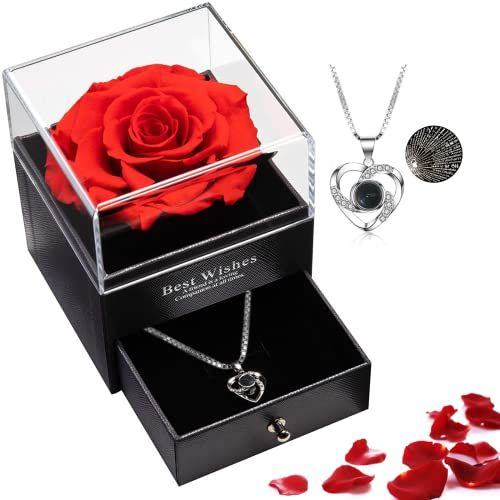 Preserved Real Rose With Necklace