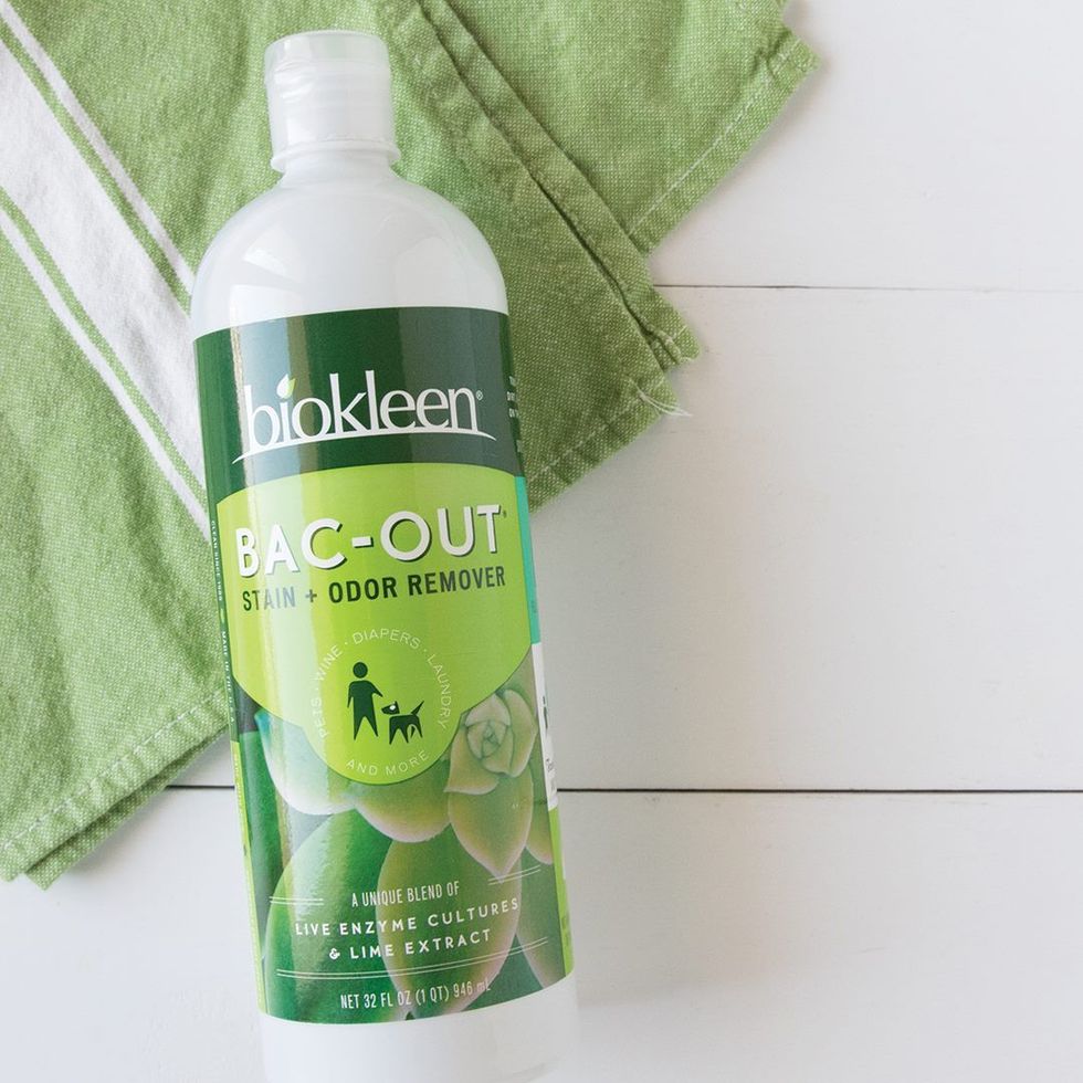 Biokleen Bac-Out Stain Odor Remover 32fl oz Natural Enzymatic Foam