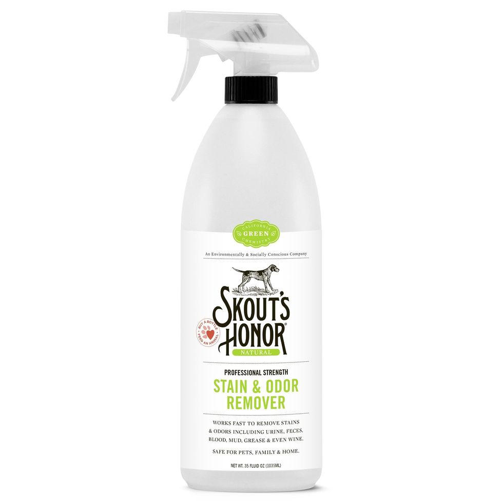 Professional Strength Stain and Odor Remover
