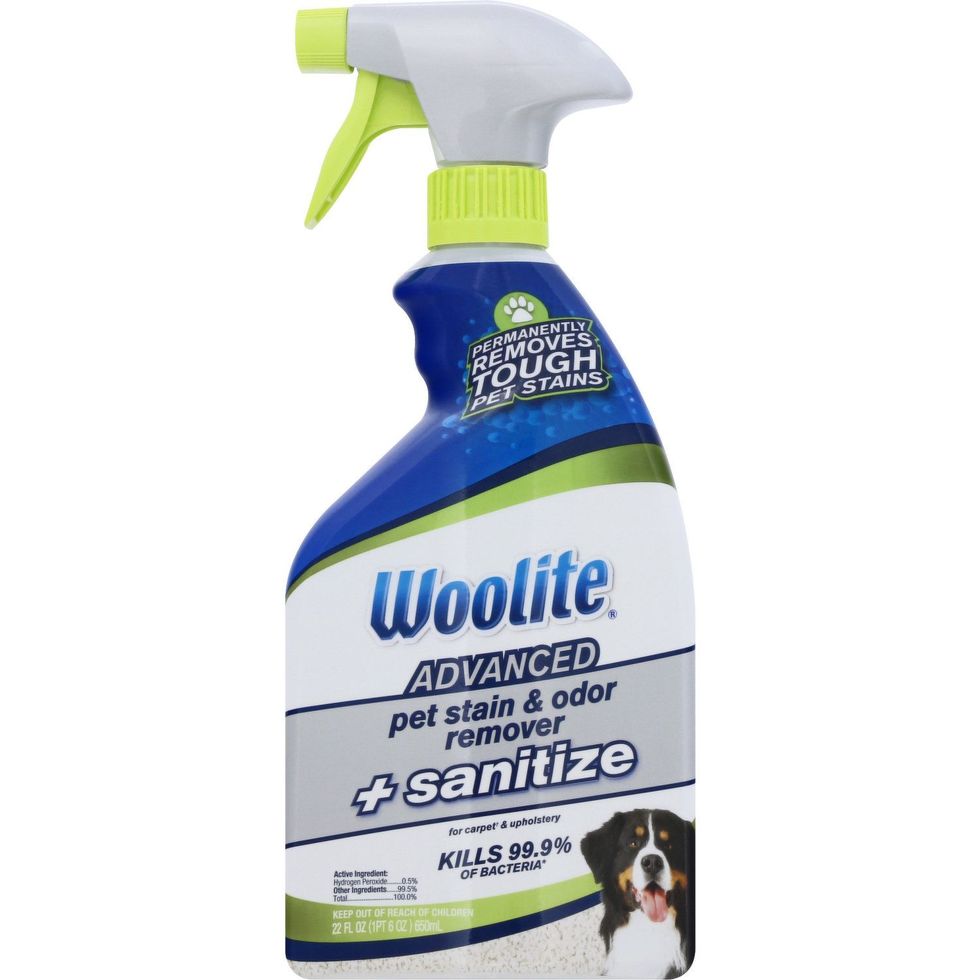 2-Pack) Woolite CARPET UPHOLSTERY Foam Cleaner Odor Stain Remover with  Brush