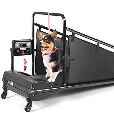 Pet Running Machine for Small/Medium-Sized Dogs 