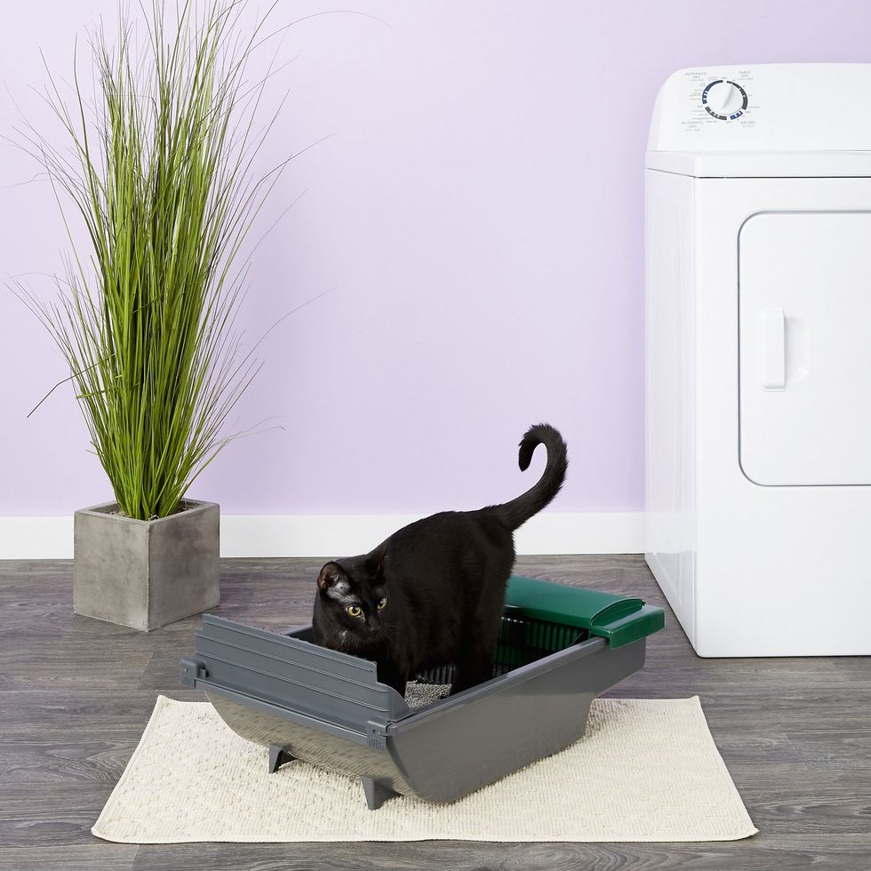 Omega Paw Enclosed No Scoop Self-Cleaning Litter Box & Paw Cleaning Mat for  Cats, 1 Piece - Foods Co.
