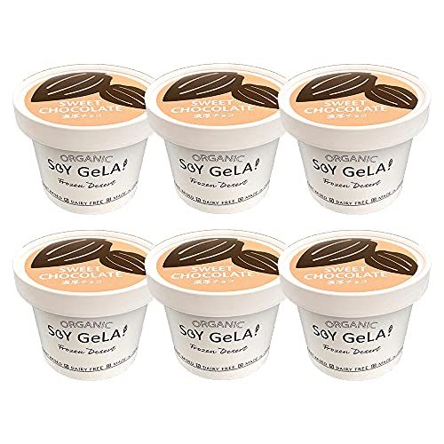 オーガニック 豆乳 アイスクリーム 100m 6個セット（チョコレート味）
