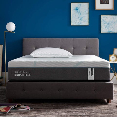 Best Mattresses for Men With Back Pain, According to Sleep Doctors