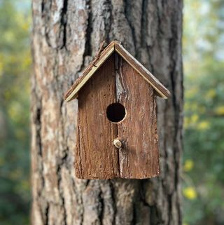 Bark wood bird nest