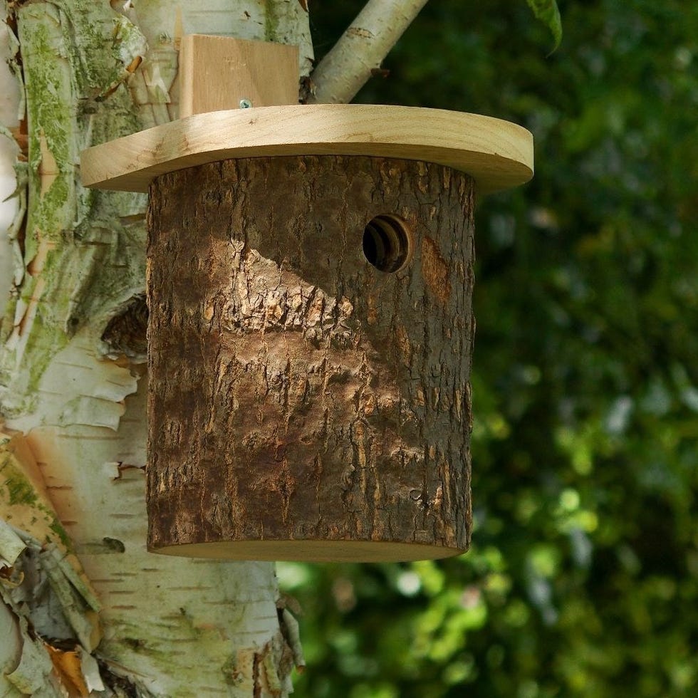 Natural log tit nesting box