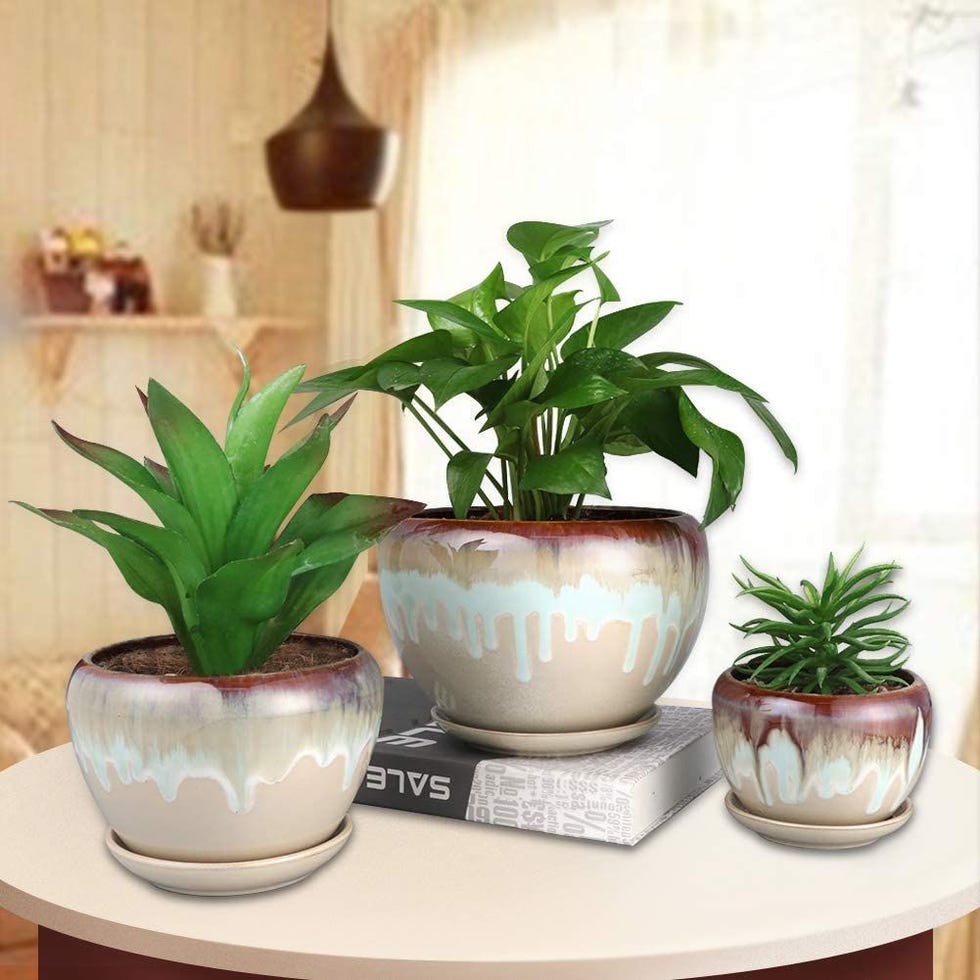 Stylish Plant Pots - Best Pots for House Plants