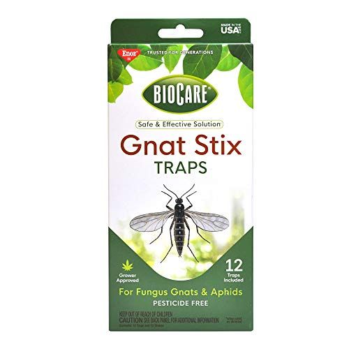BioCare Gnat Stix Traps