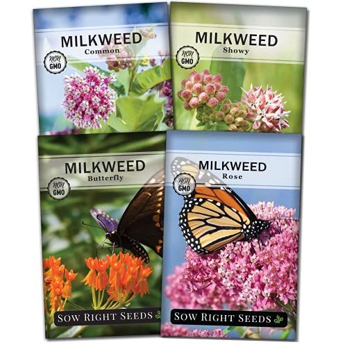 Milkweed Seed Collection