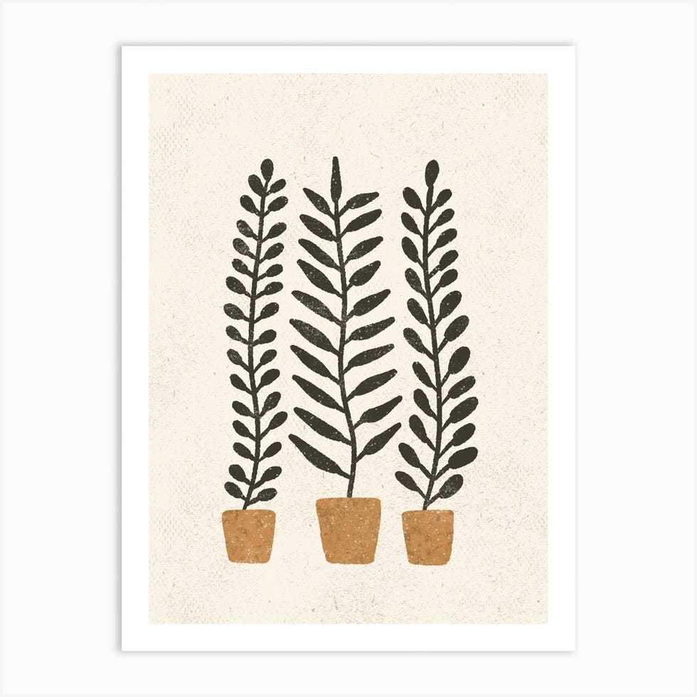 Potten Ferns Art Print by Pauline Stanley