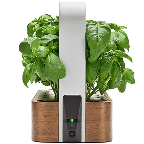 edn SmallGarden 