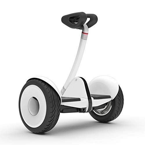 Ninebot S Smart Self-Balancing Electric Scooter