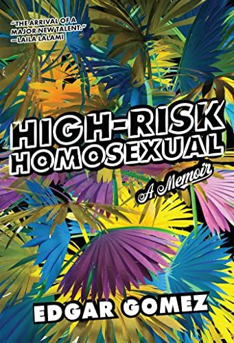High-Risk Homosexual: A Memoir