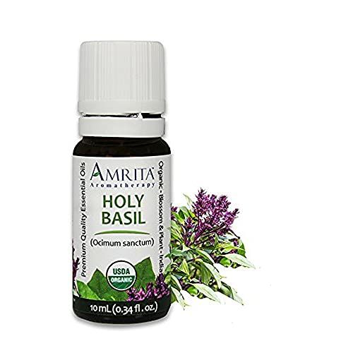 Amrita Aromatherapy Organic Holy Basil (Tulsi) Essential Oil, 100% Pure Undiluted Ocimum Sanctum, 10 mL
