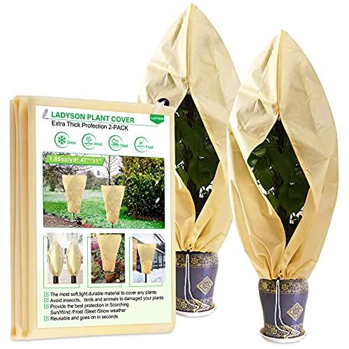 GardenWool® Plant Blanket