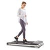 8 Best Treadmill Desks for Working in 2022 - Treadmill Desk Reviews