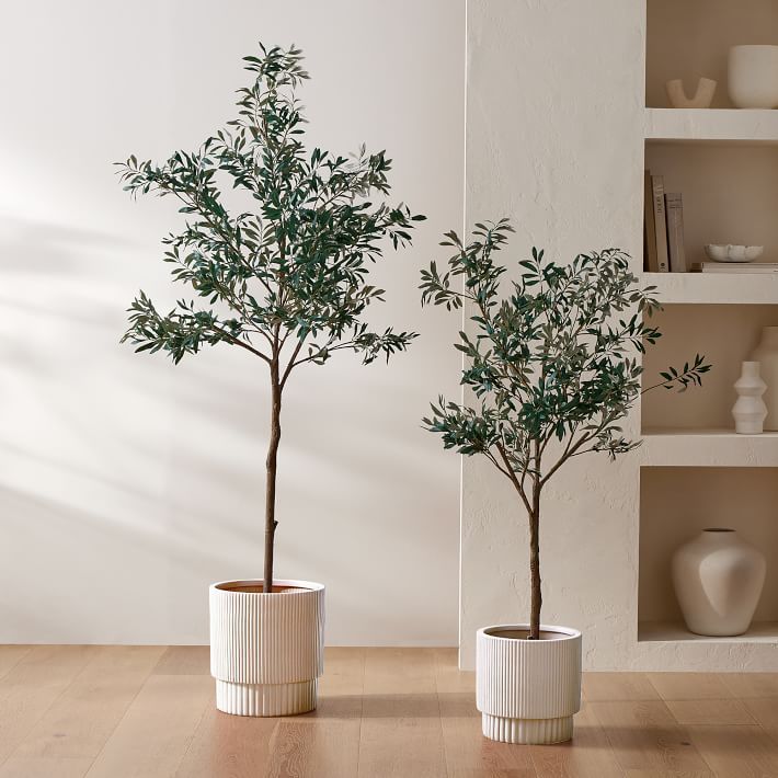 Faux Potted Olive Tree