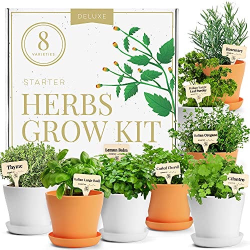 HOME GROWN Deluxe Herb Garden Grow Kit 