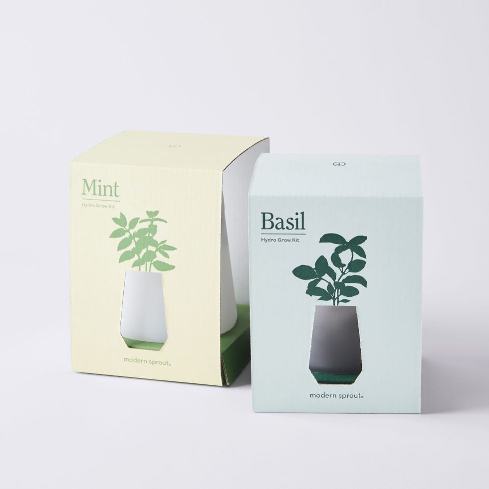 Hydroponic Tapered Tumblers