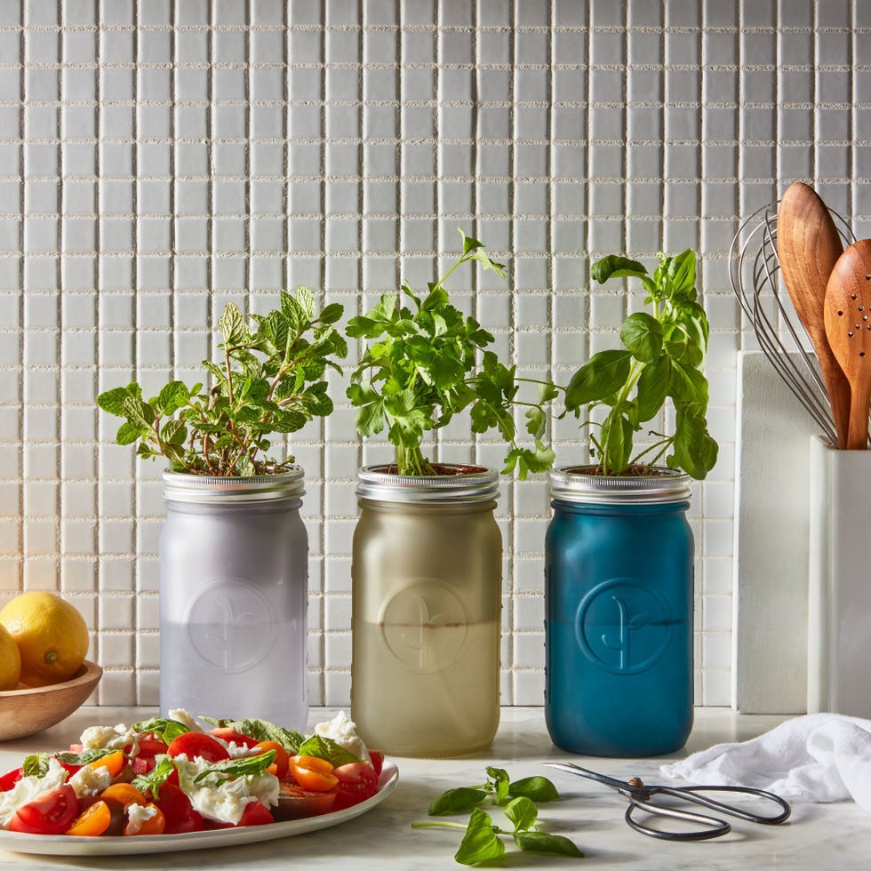 Mason Jar Herb Kit