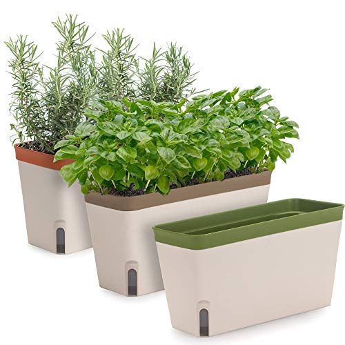 Self-Watering Window Herb Planter Box