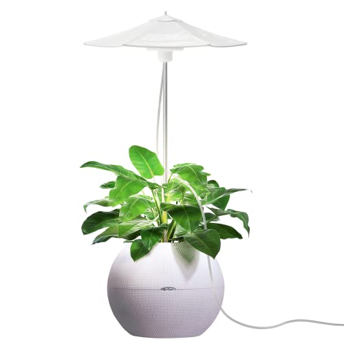 Umbrella Desk Grow Lamp