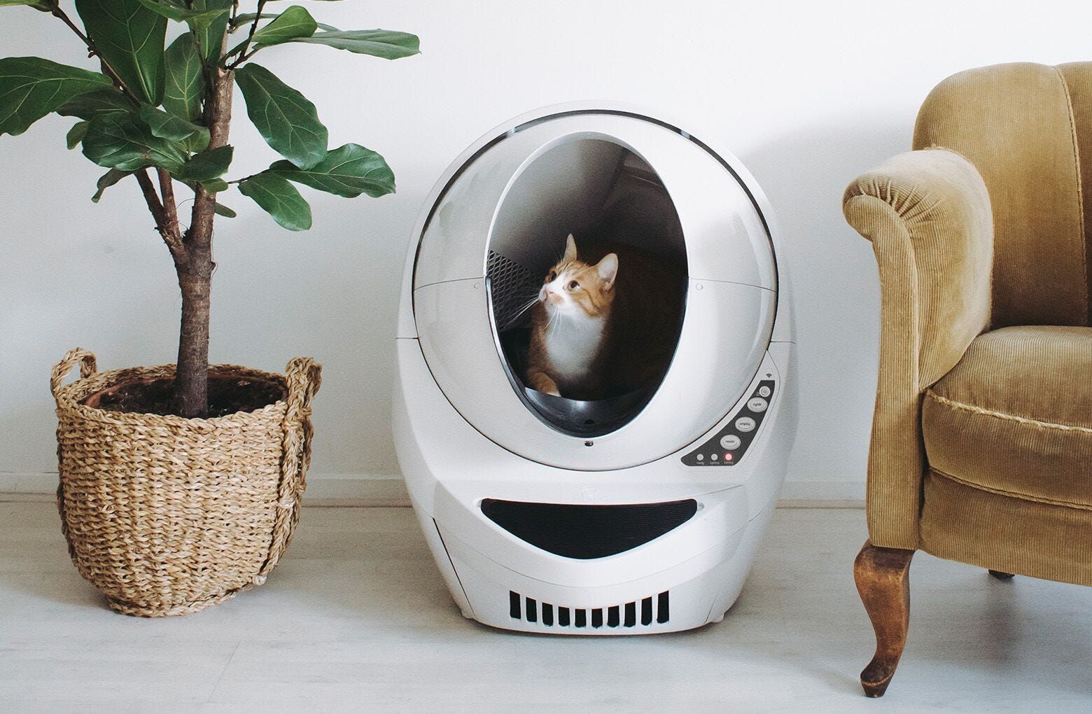 High tech clearance kitty litter box