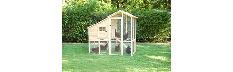 30+ Best Chicken Coop Kits for Sale - Large Backyard Chicken Coops