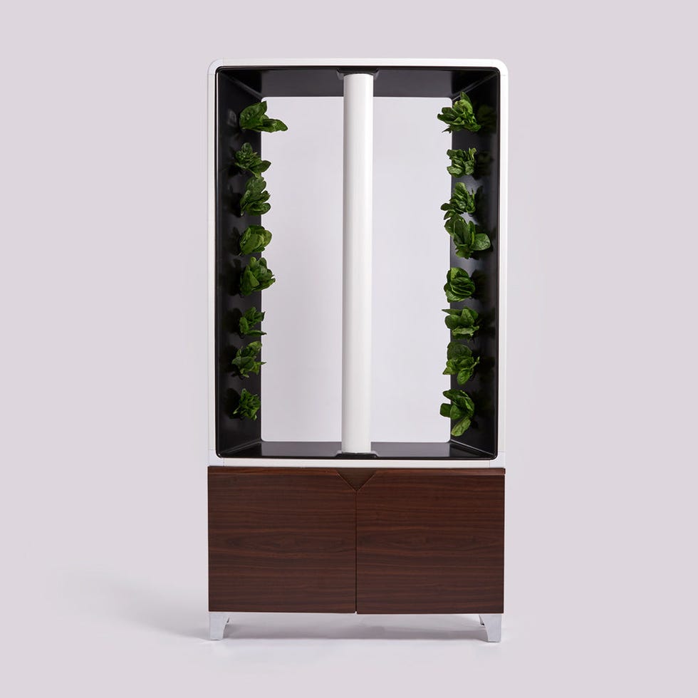 Just Vertical Aeva Bookshelf-Sized Indoor Garden