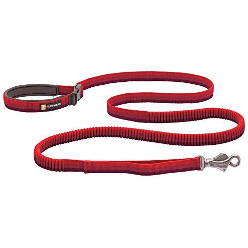 Best hotsell dog leash