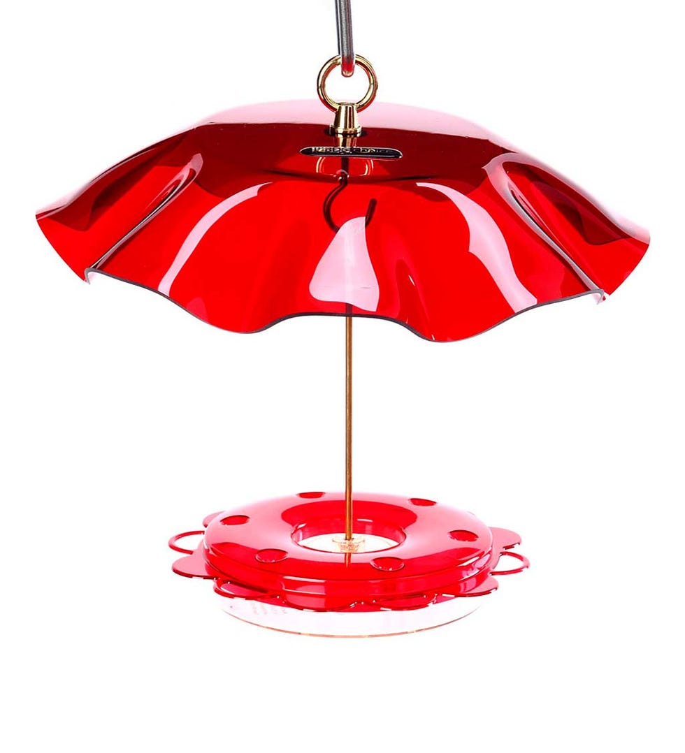 Hummingbird Feeder with Weather Guard